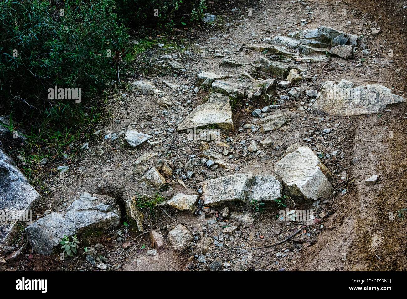 Grandes piedras en el medio de un camino de senderismo Parc de la Serralada Litoral Foto de stock