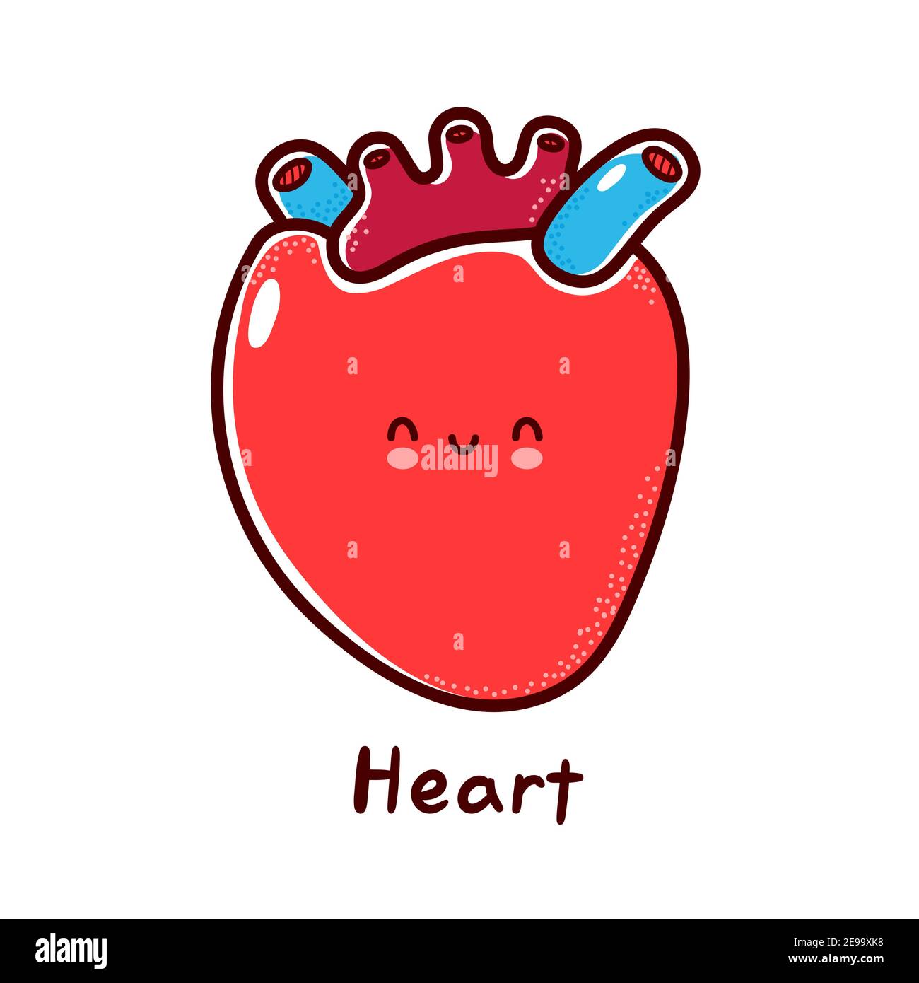 Lindo y divertido carácter de órgano de corazón humano. Vector línea plana dibujos animados kawaii personaje ilustración icono. Aislado sobre fondo blanco. Corazón con el carácter de la cara mascota concepto Imagen Lindo y divertido carácter de órgano de corazón humano. Vector línea plana dibujos animados kawaii personaje ilustración icono. Aislado sobre fondo blanco. Corazón con el carácter de la cara mascota concepto Imagen