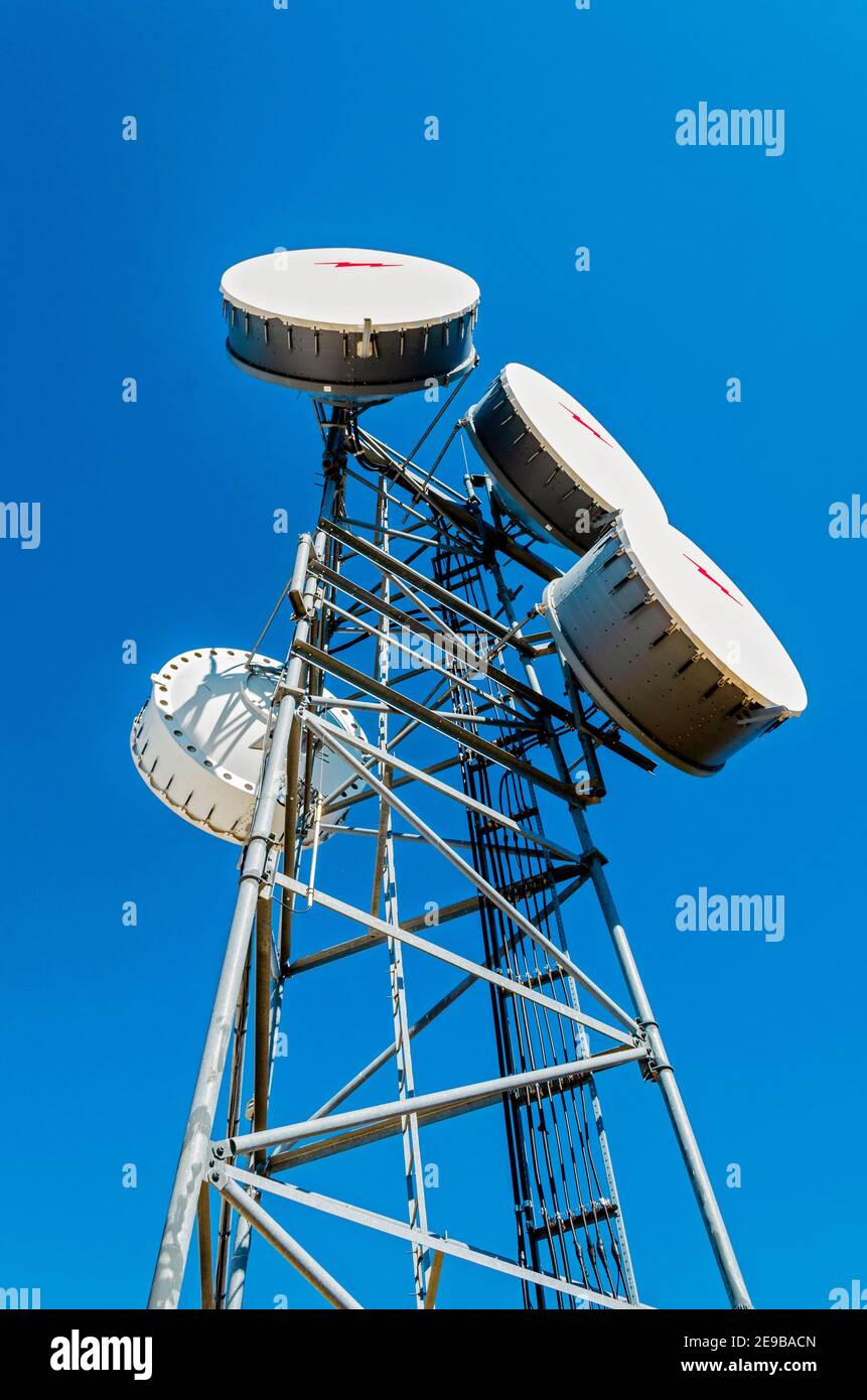 Teléfono torre de radio microondas con 4 antenas parabólicas contra el  cielo azul Fotografía de stock - Alamy