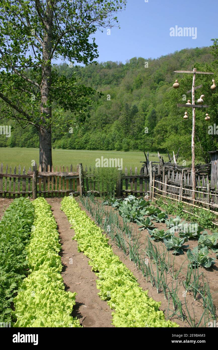 Colonial Garden ubicado en Great Smoky Mountains National Park, Carolina del Norte, Tennessee, Estados Unidos. Foto de stock
