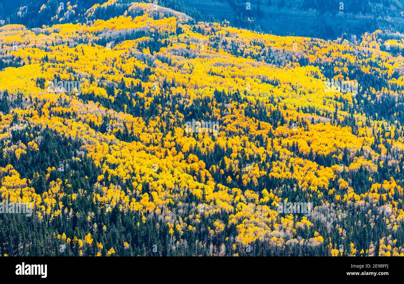 Color de otoño en Square Top Mountain desde Wolf Creek Pass, Pagosa Springs, Colorado, Estados Unidos Foto de stock