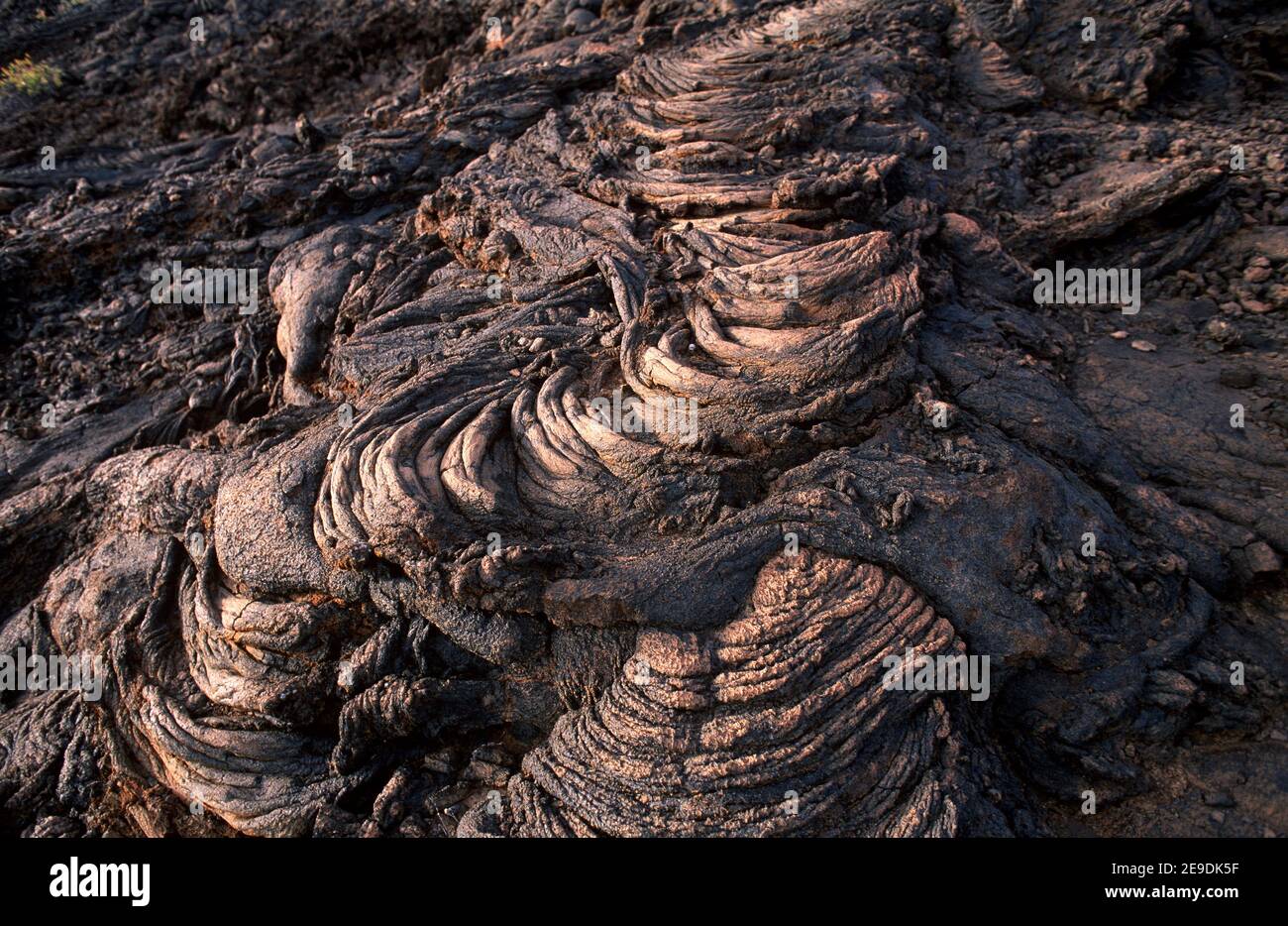 Azada. Isla el Hierro, Islas Canarias, España. Foto de stock