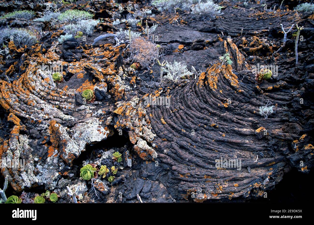 Azada. Isla el Hierro, Islas Canarias, España. Foto de stock