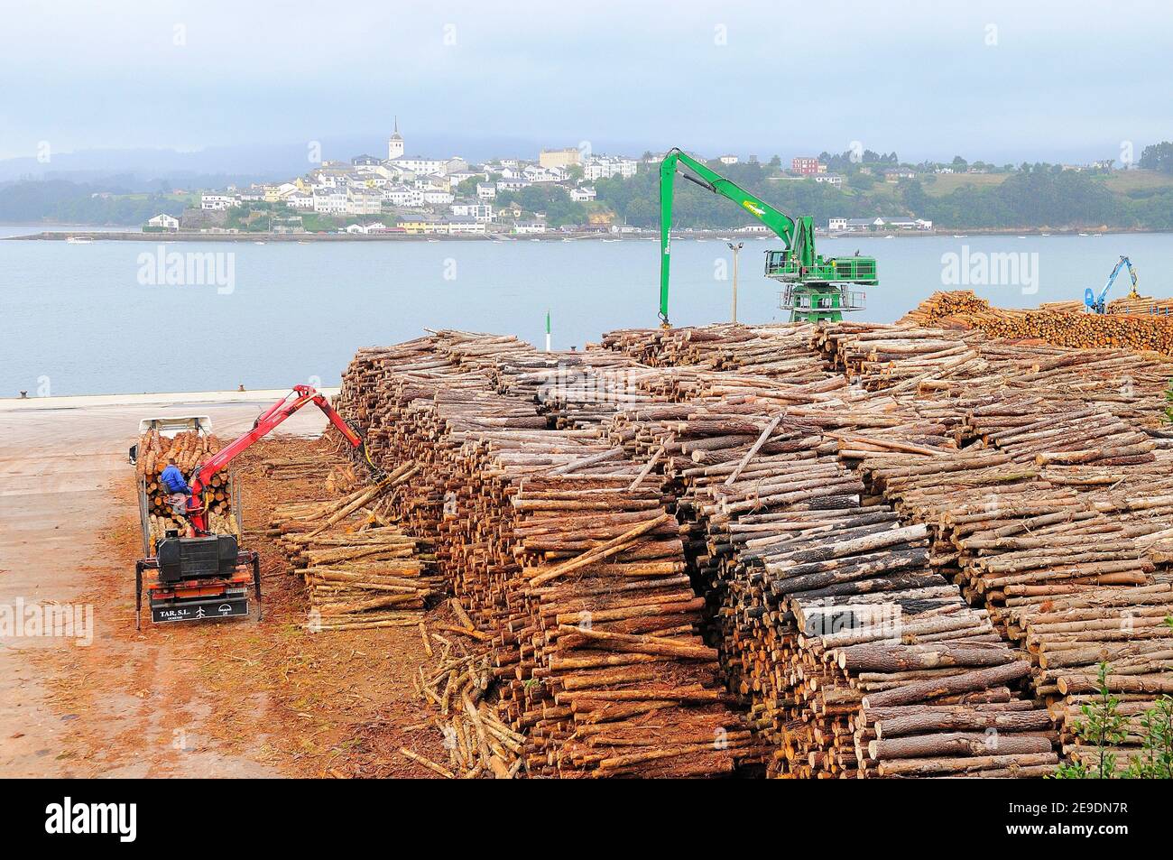 Carga de madera de pino en el puerto de Ribadeo. Provincia de Lugo. Galicia. España Foto de stock