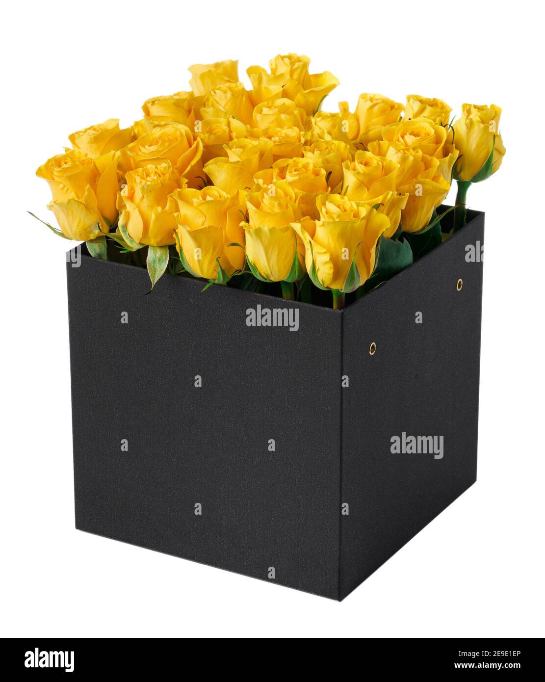 Rosas amarillas en una caja de sombrero aisladas sobre fondo blanco  Fotografía de stock - Alamy