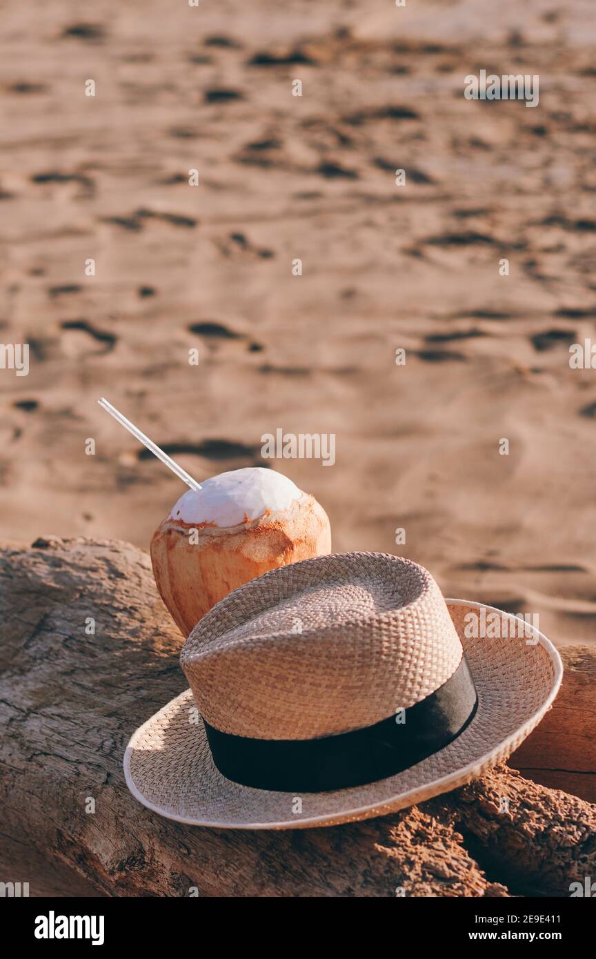 Una vista de cerca de un coco y un sombrero en un tronco de árbol en la  playa Fotografía de stock - Alamy