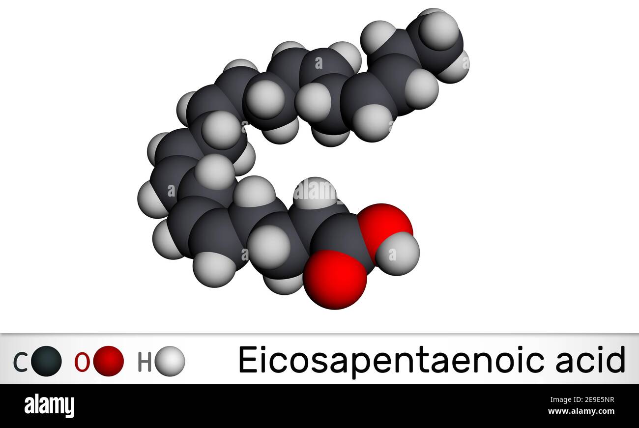 Ácido eicosapentaenoico, EPA, ácido icosapentaenoico, molécula icosapente.  Es un ácido graso de cadena larga poliinsaturado omega-3. Modelo molecular.  3D rend Fotografía de stock - Alamy
