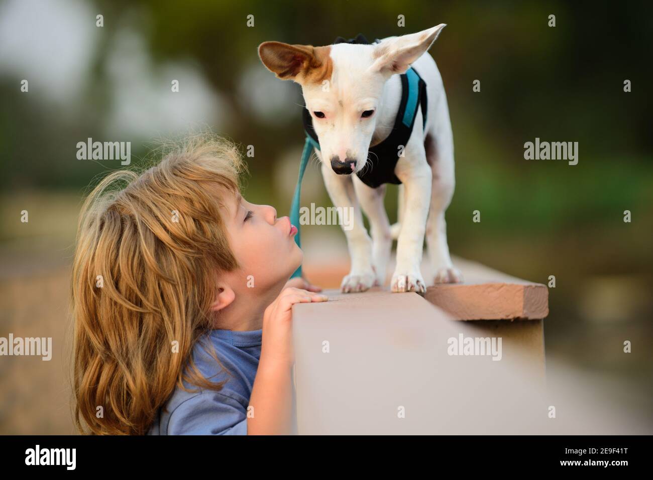 Juegos de cachorros fotografías e imágenes de alta resolución - Alamy