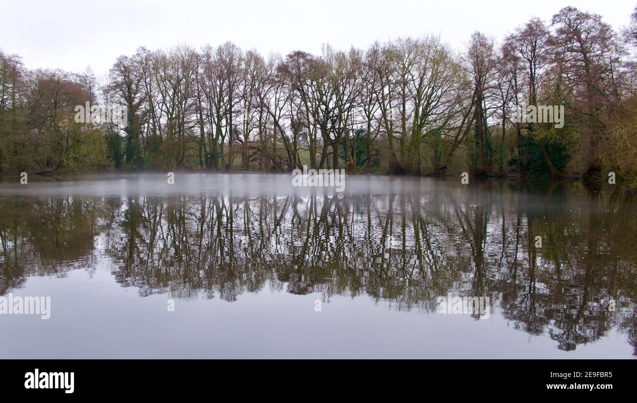 Escena de invierno mostrando árboles reflejados en el agua de los ingleses lago Foto de stock