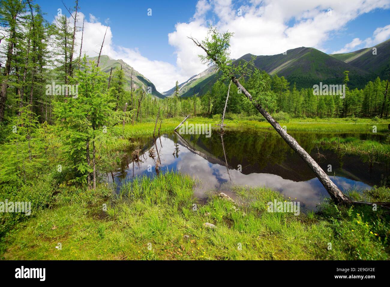 tajga en las montañas de sayan - buryatia - rusia Foto de stock
