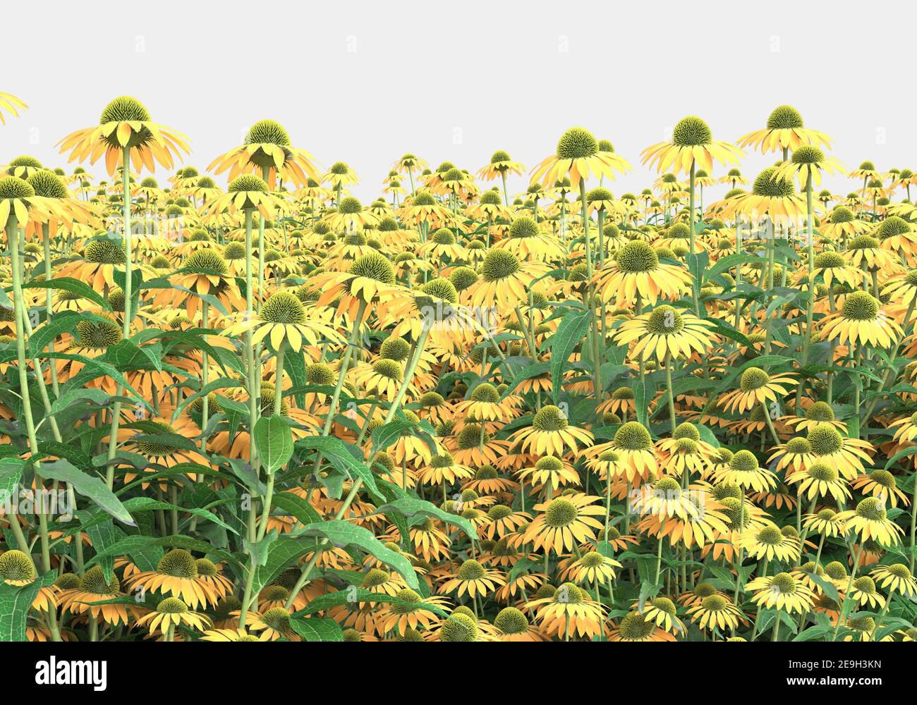 Ilustración de fondo de campo verde de hierba con flores. Renderizado en 3D. Útil para banners comerciales e impresos - Ilustración Foto de stock