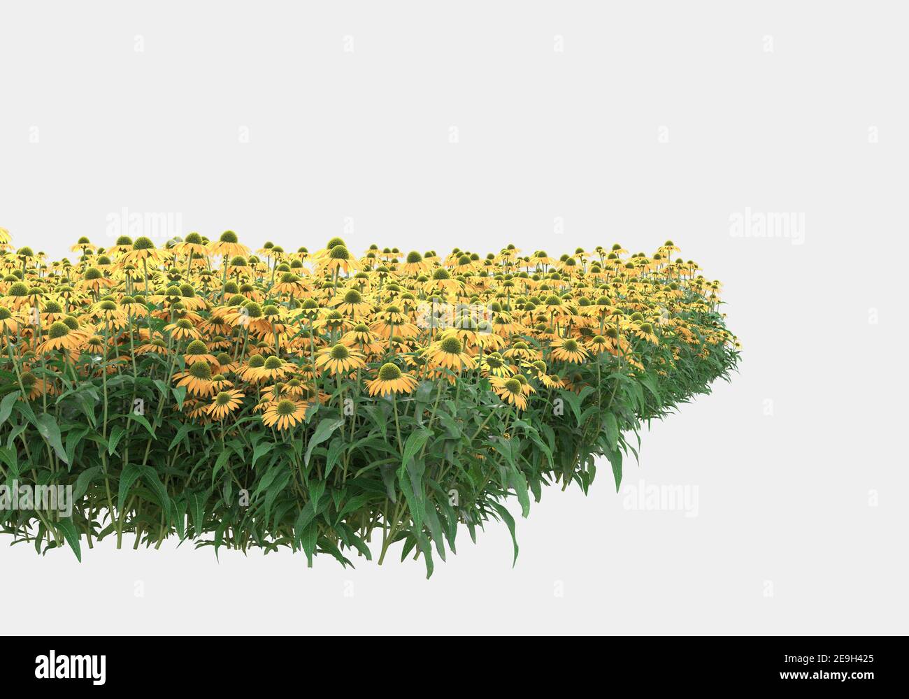 Ilustración de fondo de campo verde de hierba con flores. Renderizado en 3D. Útil para banners comerciales e impresos - Ilustración Foto de stock