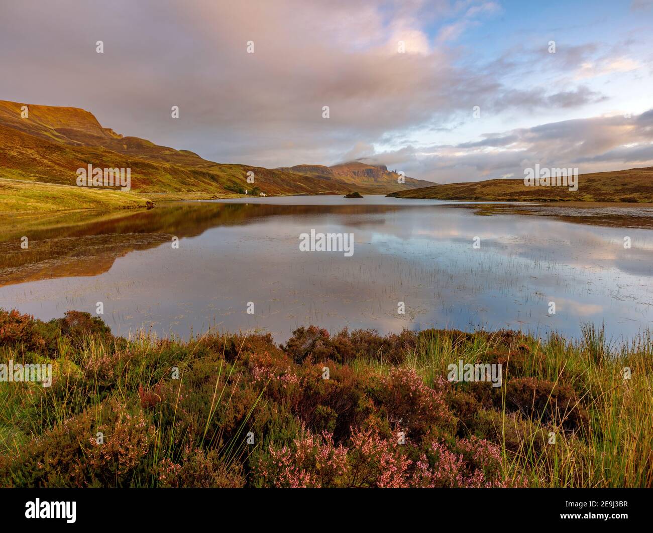 Isla de Skye, Escocia: Luz del amanecer y nubes que se reflejan en el lago Fada con brezo floreciendo en la costa y el icónico Viejo Hombre de Storr en TH Foto de stock