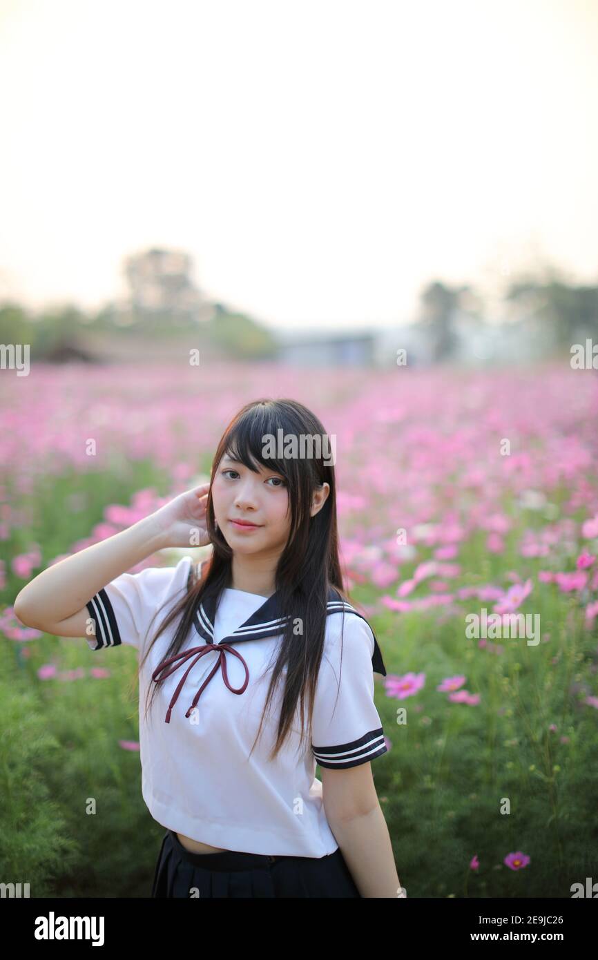 Retrato de niña de la escuela japonesa con uniforme rosa flor cosmos Foto de stock