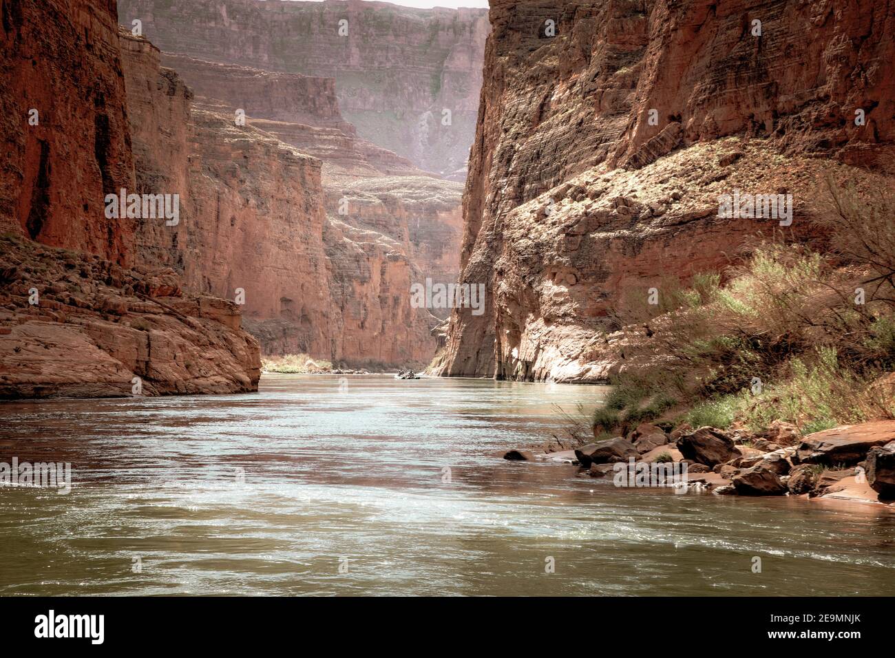 Rafting río abajo a lo largo del Río Colorado en el Parque Nacional del Gran Cañón, Arizona. Foto de stock