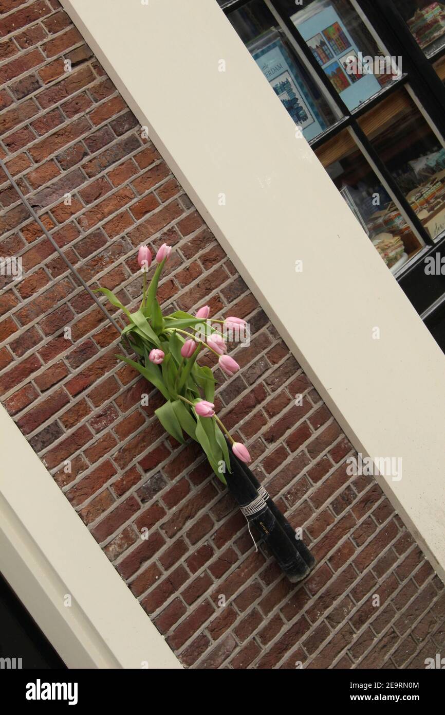 Tulipanes en una pared de ladrillo Foto de stock