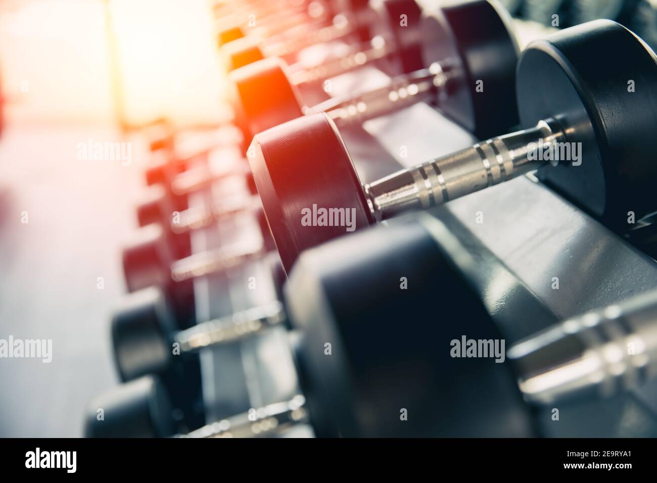 Pesa mancuerna para el entrenamiento muscular en gimnasio fitness club, tiro de cerca Foto de stock