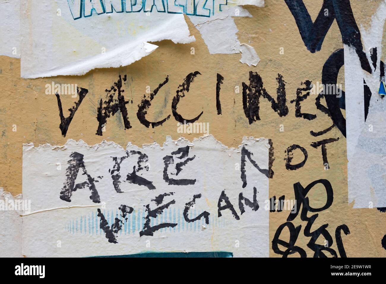 Anti vacuna o Vaxxer vegan graffiti mensaje en una pared en una calle en Newtown, Sydney, Nueva Gales del Sur, Australia Foto de stock