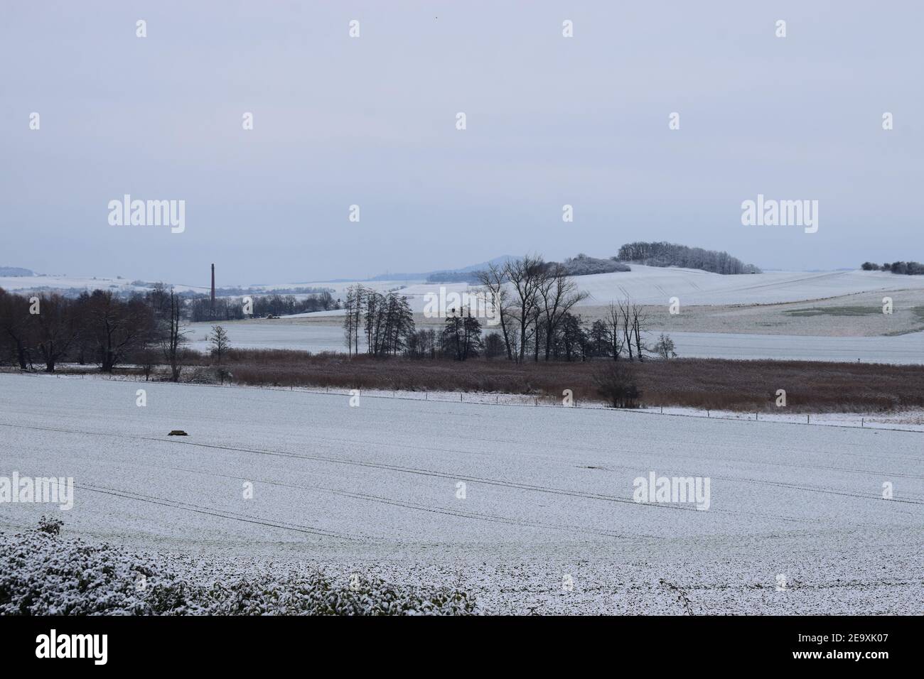 El Swampland Thürer Wiesen cubierto de nieve en enero de 2021 Foto de stock