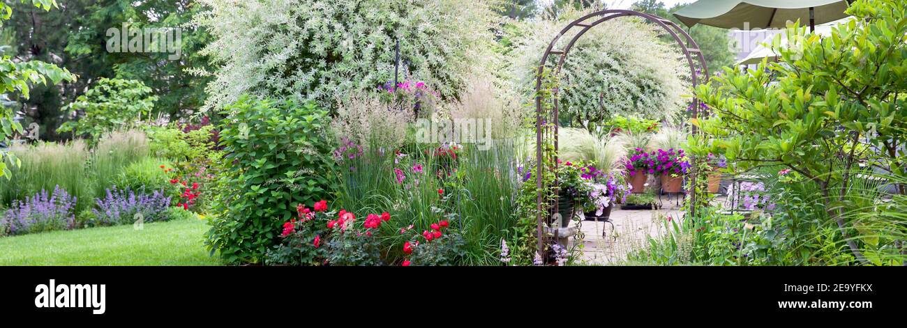 Árboles ornamentales de sauce japonés mágico en un jardín de verano rodeado de rosas, Karl Foerster Feather hierba de caña, menta, hierba de plumas en Chicago Foto de stock