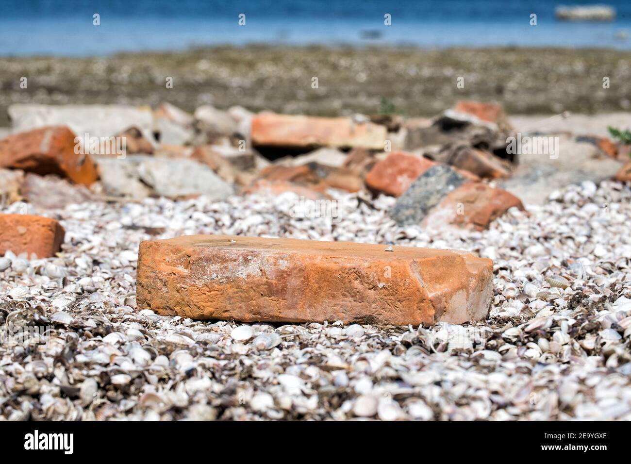 Ladrillo rojo vintage se encuentra entre conchas de mar Foto de stock