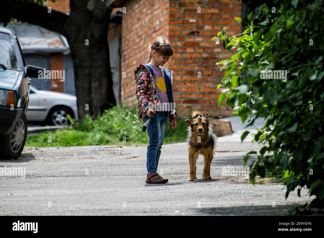 Niña y perro callejero Foto de stock