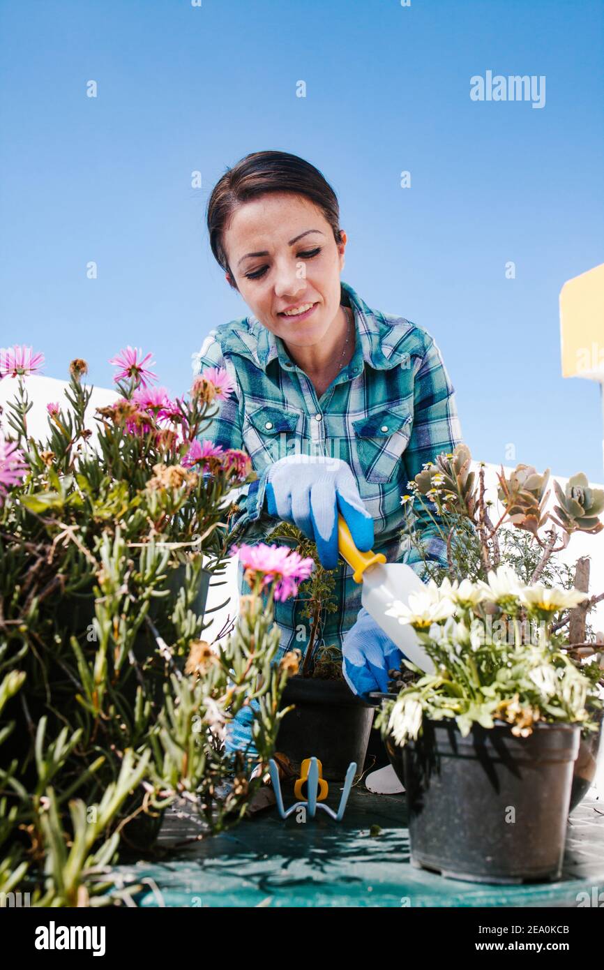 Mujer jardinera latina cuidando plantas y flores, Casa de jardinería en la  ciudad de México Fotografía de stock - Alamy