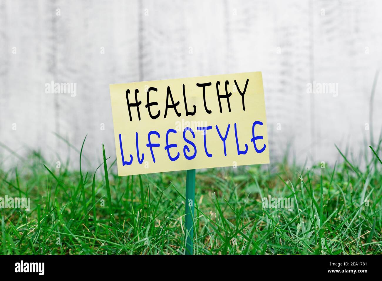 Texto de escritura de palabras estilo de vida saludable. Foto de negocios que muestra la forma de vida que reduce el riesgo de estar seriamente enfermo papel vacío plano adjunto a. Foto de stock