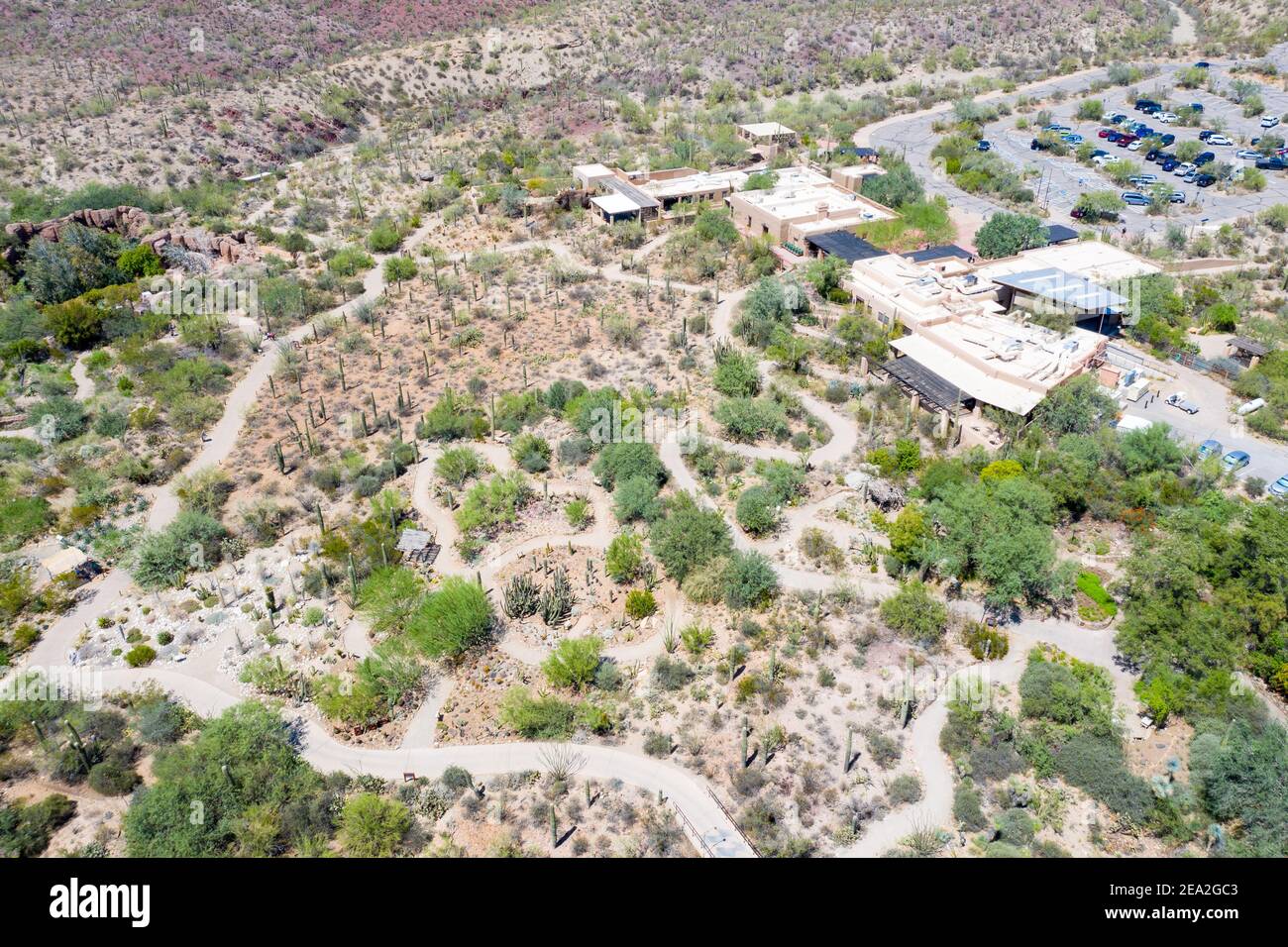 Arizona-Sonora Desert Museum, Tuscon, Pima County, AZ, EE.UU Foto de stock