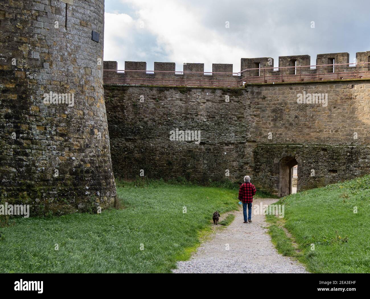 Un hombre con pelo gris caminando su pequeño perro negro Dentro de la  histórica ciudad medieval fortificada de Carcassonne en el sur Francia  Fotografía de stock - Alamy