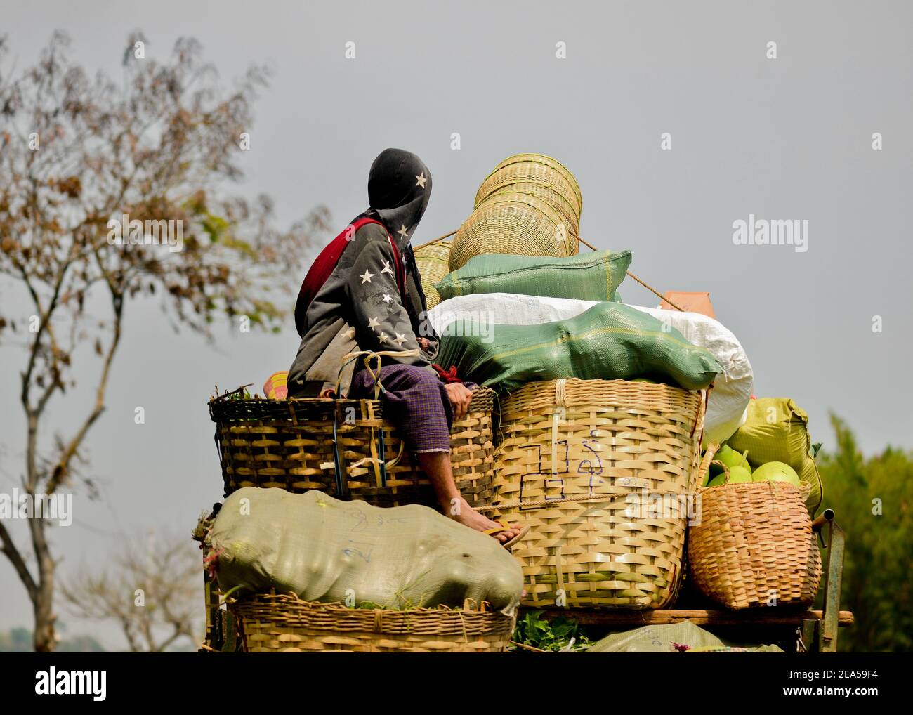 El hombre joven viaja encima del camión transportando grano y. Agricultura en Birmania Foto de stock