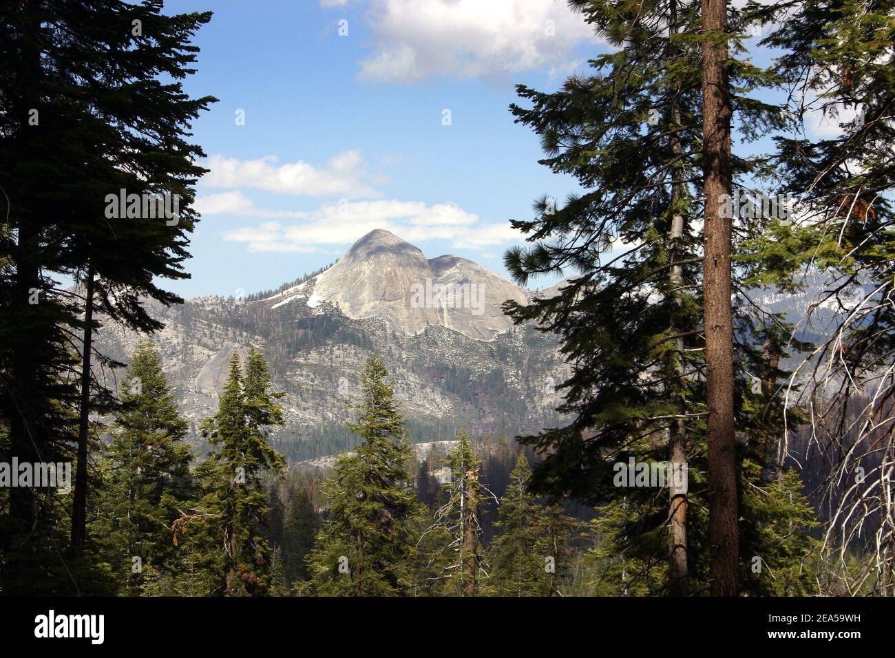 Vista a la montaña en el Parque Nacional Sequoia, California, Estados Unidos Foto de stock