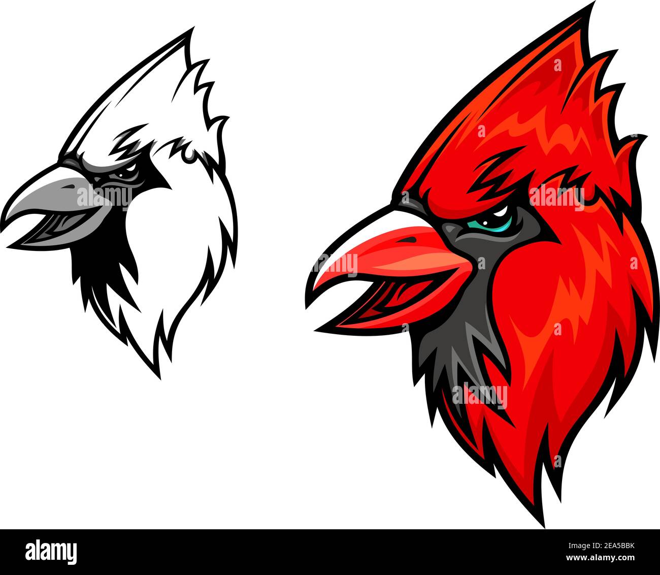 Cabeza de pájaro cardenal rojo en estilo de dibujos animados. Ilustración  vectorial para diseño de mascota Imagen Vector de stock - Alamy
