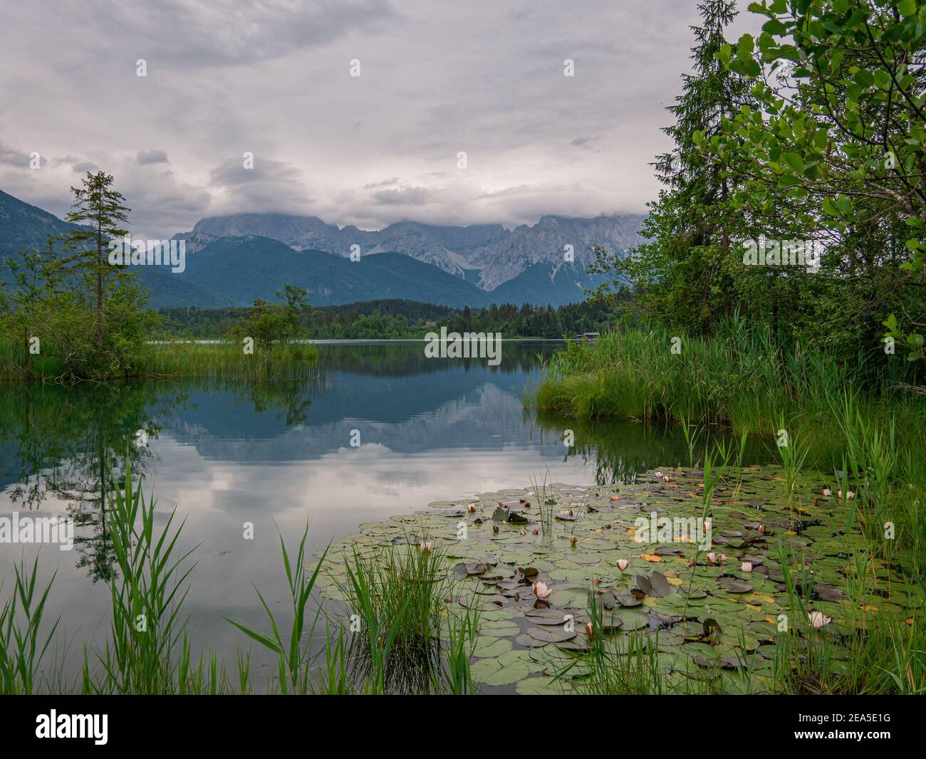 Un pequeño lago en los Alpes con lirios de agua en flor Foto de stock