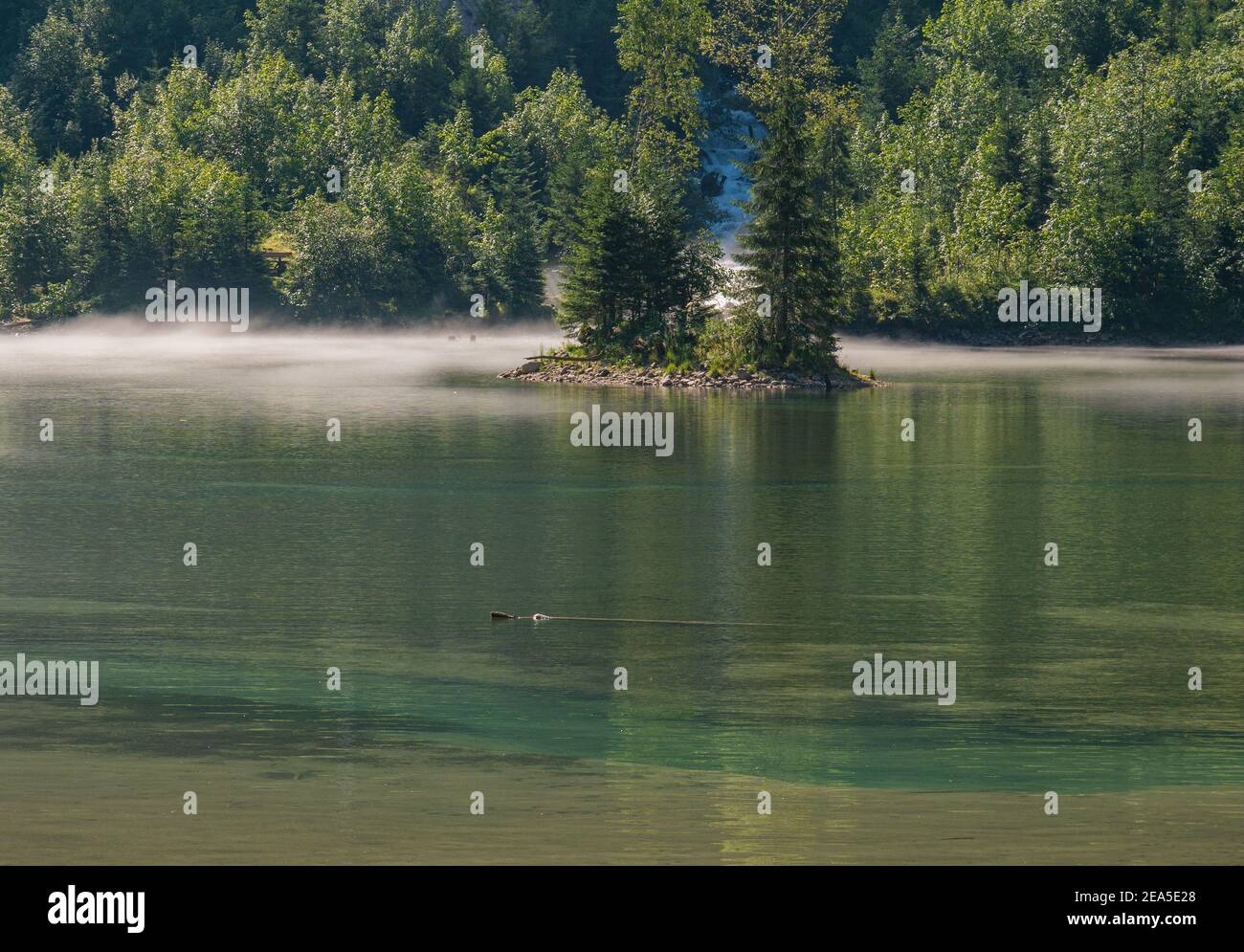 Una pequeña isla en un lago cubierto de niebla Foto de stock