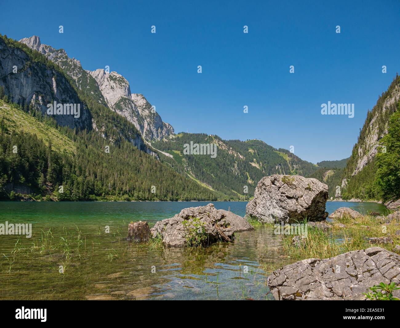 Un tronco de árbol y rocas en un lago claro de montaña En los Alpes Foto de stock