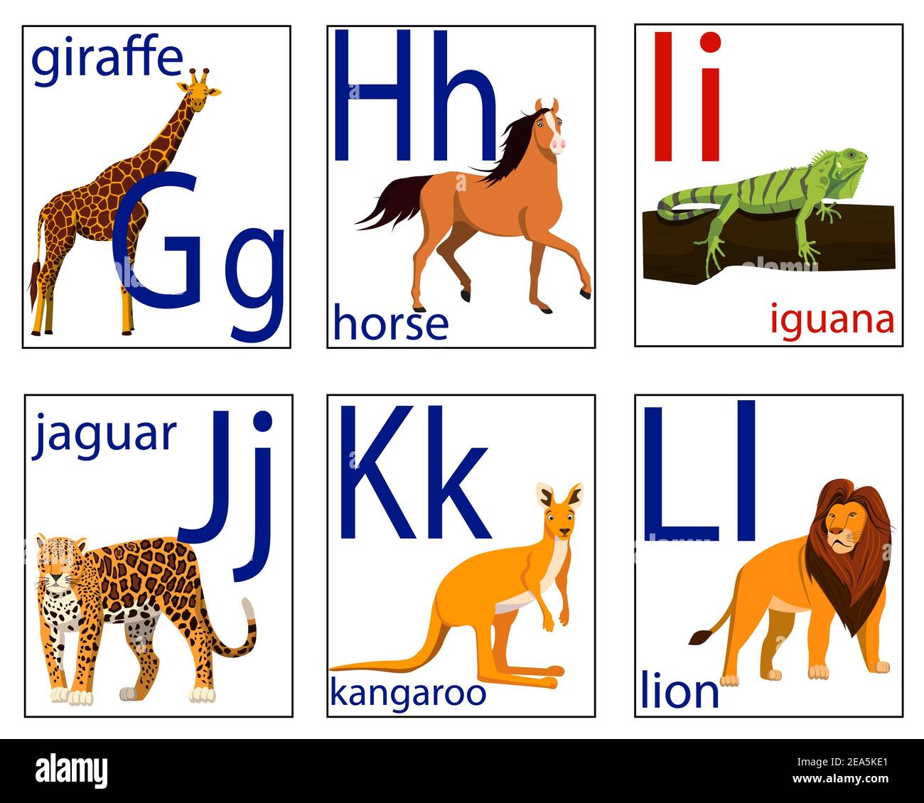 Tarjetas para niños con letras y fotografías de animales para aprender