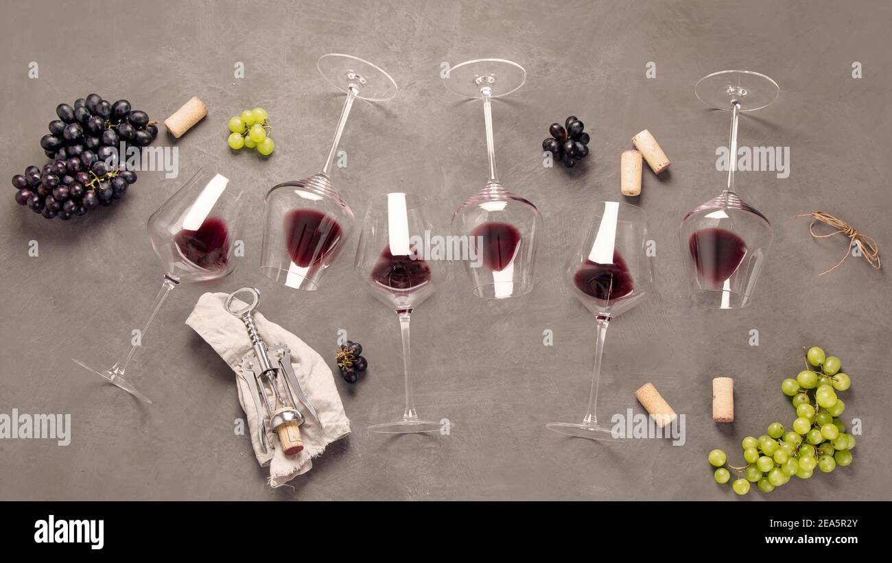 Variedad de vinos y bocadillos. Diferentes tipos de uvas. Ingredientes frescos sobre fondo gris. Vista superior Foto de stock