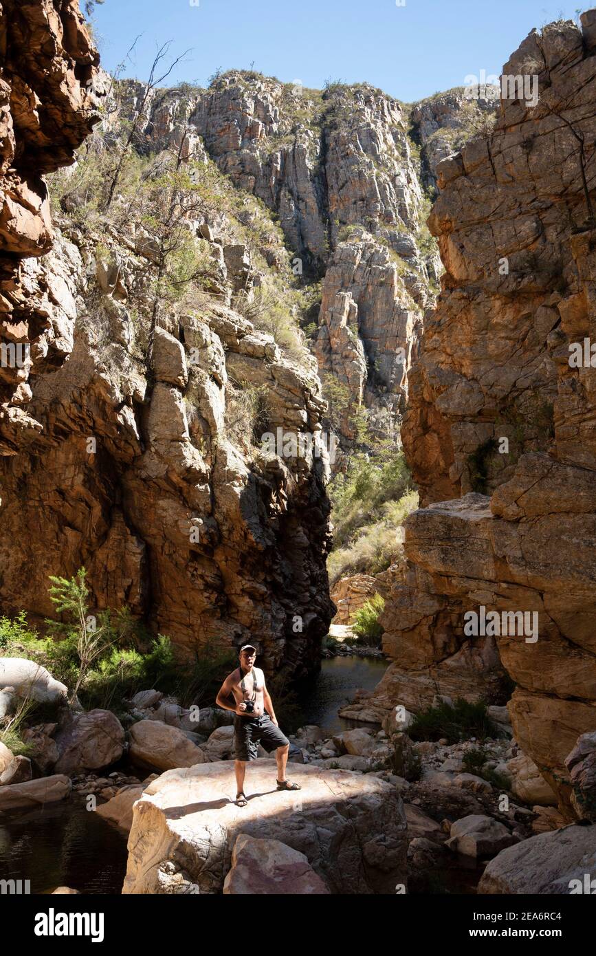 Senderismo / klofing a Cedar Falls, Baviaanskloof, Sudáfrica Foto de stock
