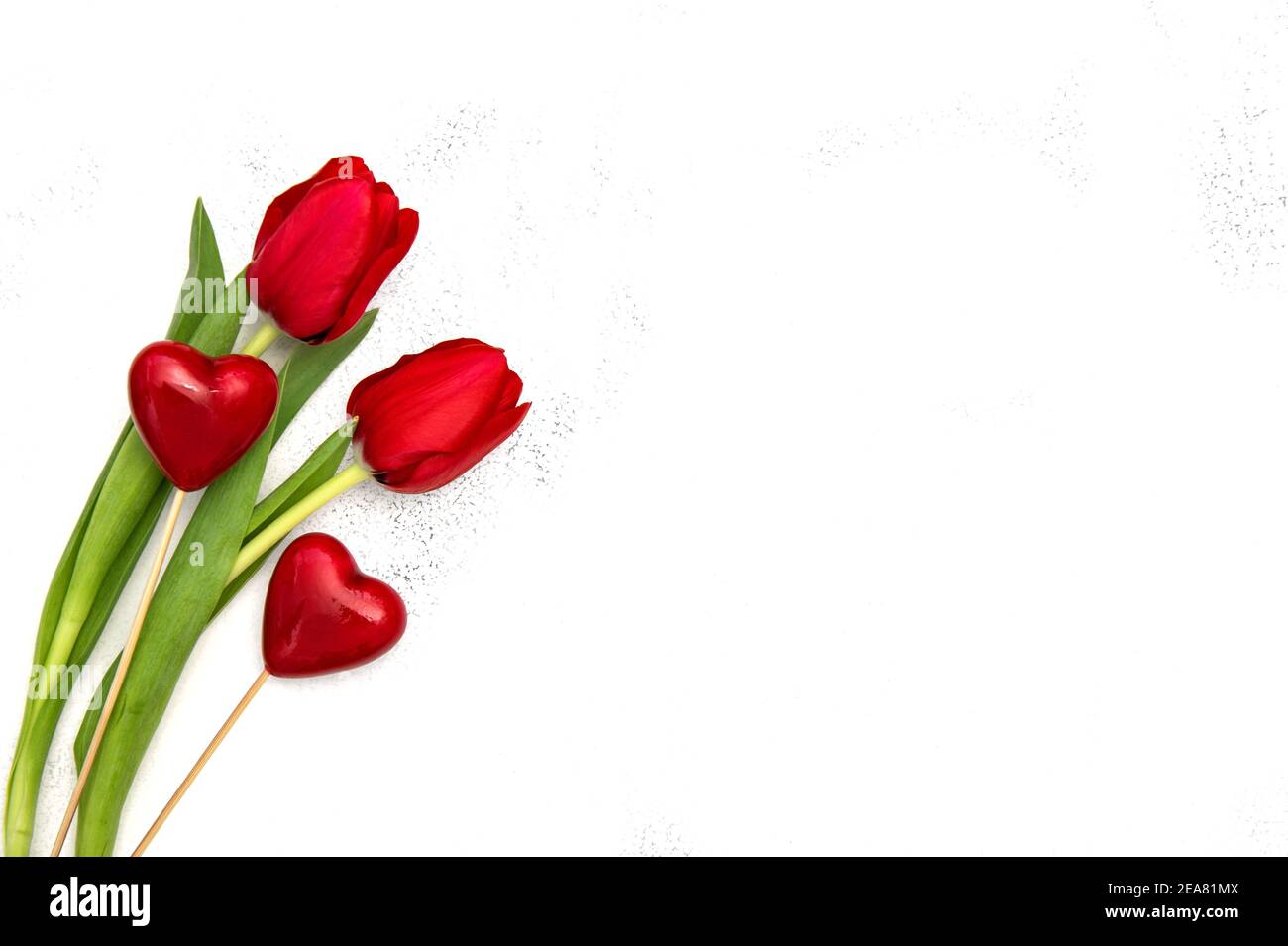 Dos corazones y flores de tulipán rojo. Plantilla de día de San Valentín Foto de stock