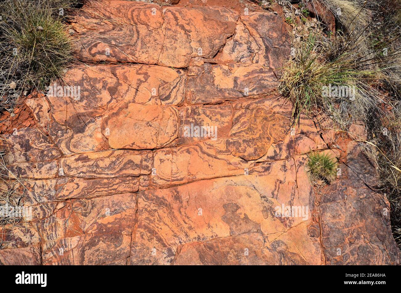 Australia, NT, rock ornamentado en el desfiladero de Trephina en el parque nacional East McDonnell Range, Fels mit farblicher Ornamentierung in der Trephina Schlucht im Foto de stock