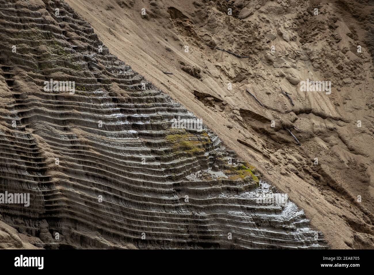 A lo largo del río Devil's en el Parque Nacional Mont Tremblant, el río ha erosionado la orilla para formar pequeños escalones. La arena de las horas extraordinarias ha llegado a cubrir la mayor parte de ella Foto de stock