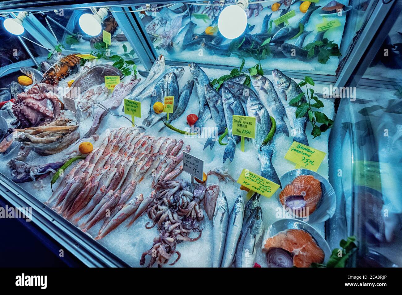 Una rica variedad de pescados mediterráneos frescos, camarones y mariscos  en el mostrador del restaurante de mariscos. Concepto de manjares y publ  Fotografía de stock - Alamy