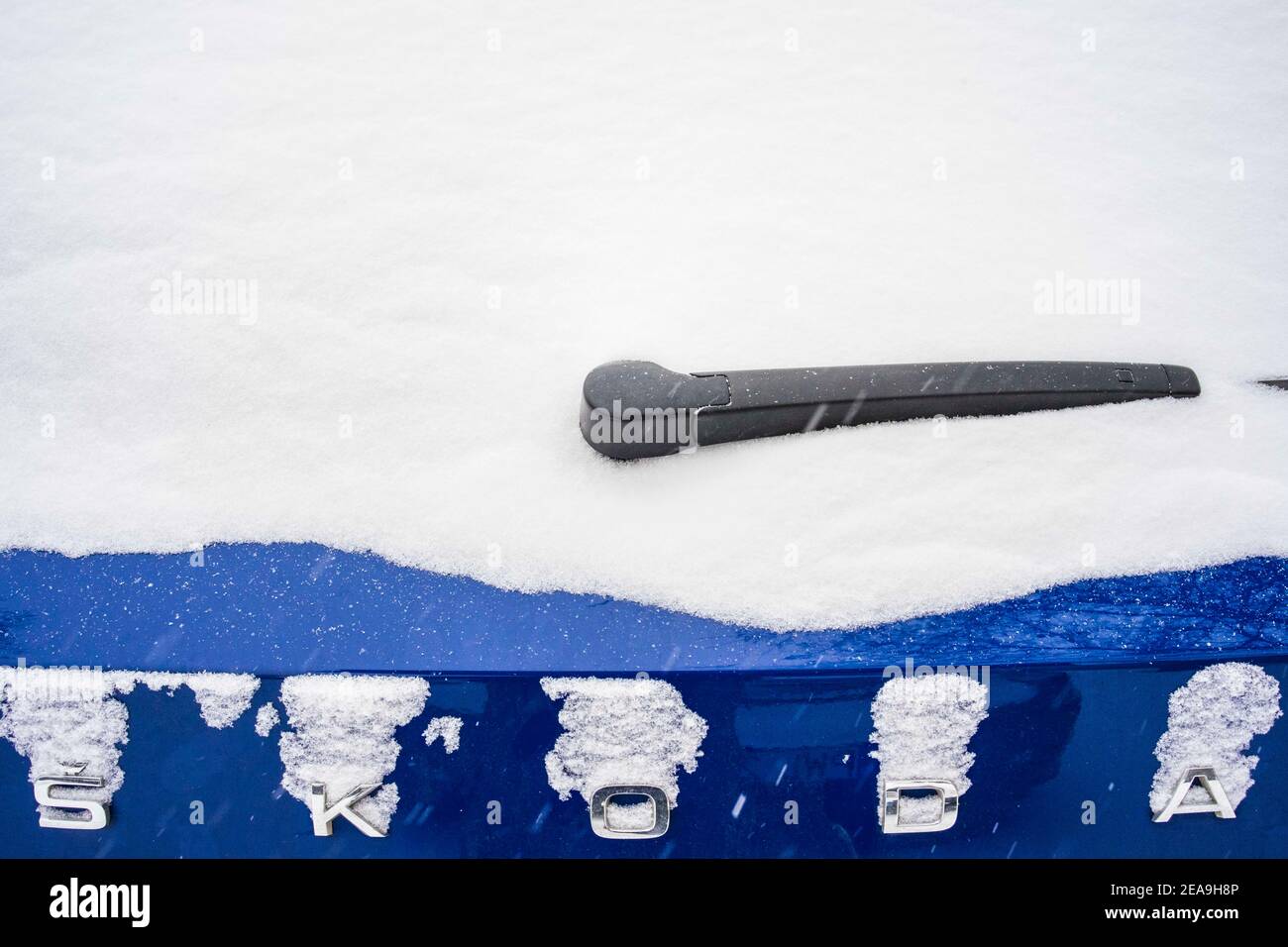 Poznan, Wielkopolska, Polonia. 8 de febrero de 2021. Ataque de invierno en  Polonia. Hay unas cuantas imágenes a nuestro alrededor que pueden animarnos  o hacernos reflexionar. El invierno puede ser muy fotogénico.