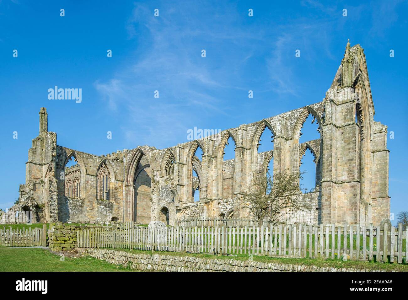 Las ruinas de Bolton Abbey en Yorkshire fotografiadas contra un cielo azul Foto de stock