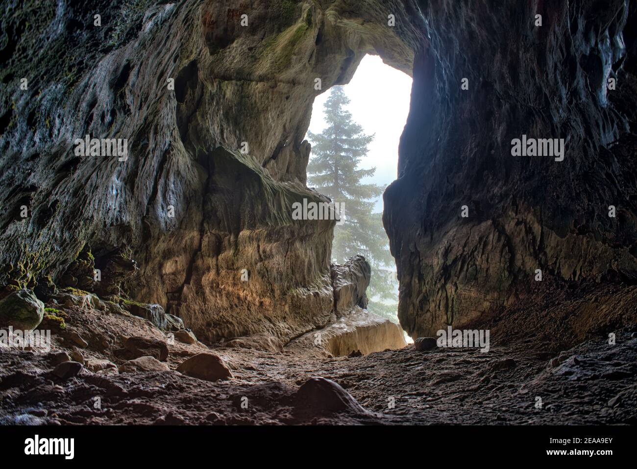 Entrada a la cueva con abetos delante de la entrada Foto de stock