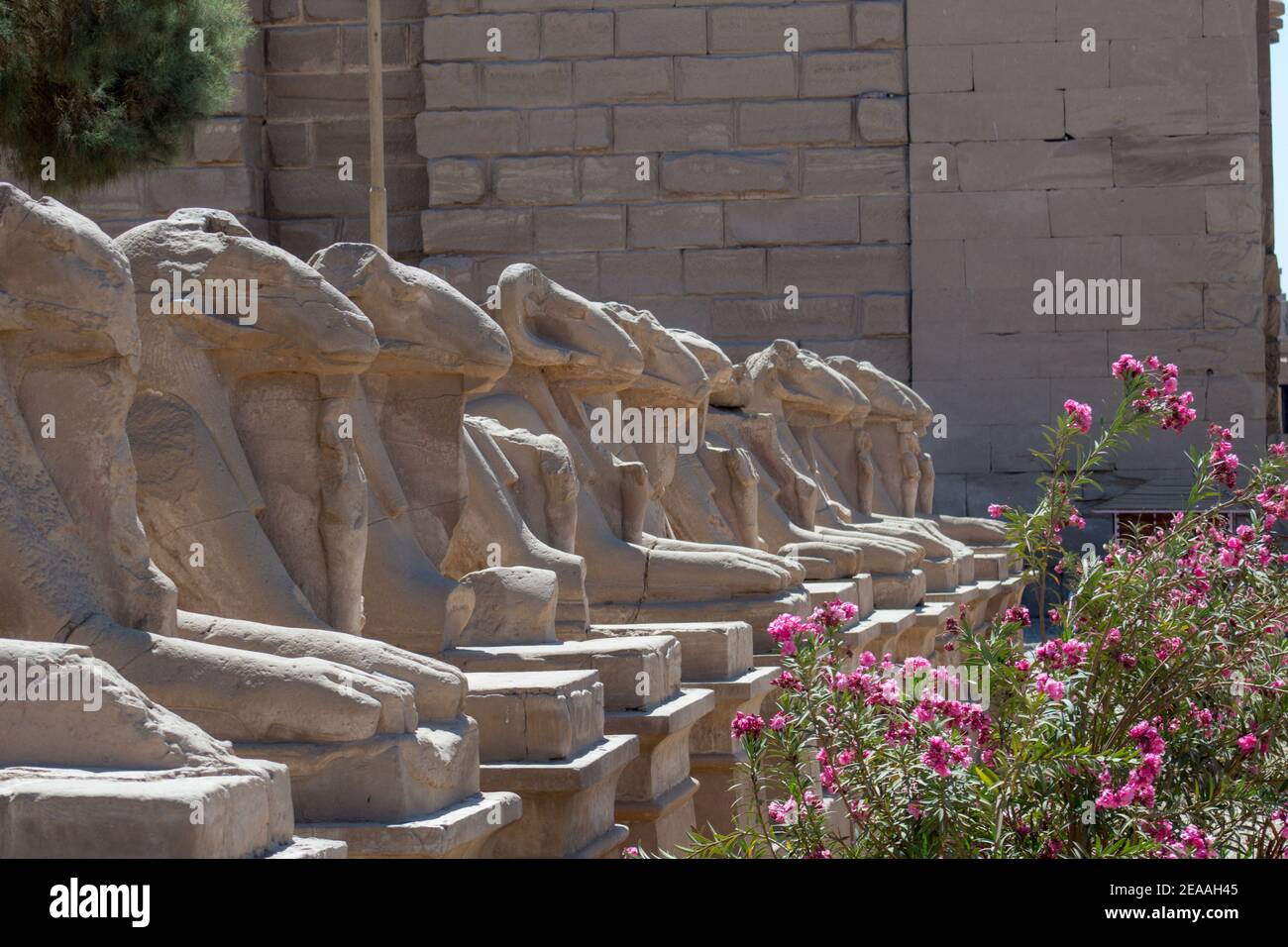 Templo de Karnak, Luxor, Egipto Foto de stock