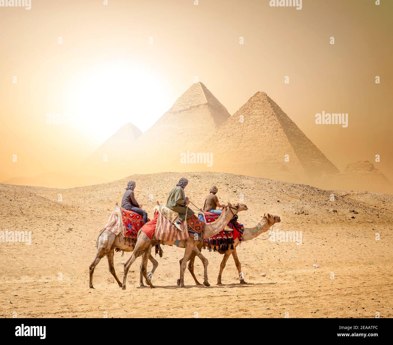 Caravana de camellos y las pirámides de Giza en Egipto Foto de stock