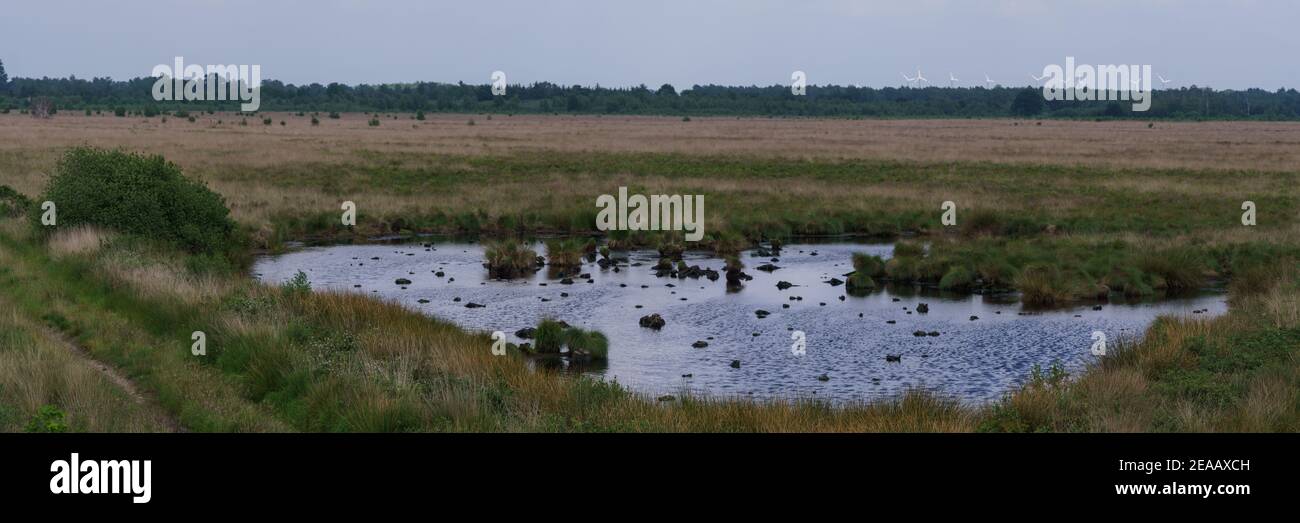 Panorama de pequeño lago de páramo en paisaje llano, Alemania, Recker Moor Foto de stock