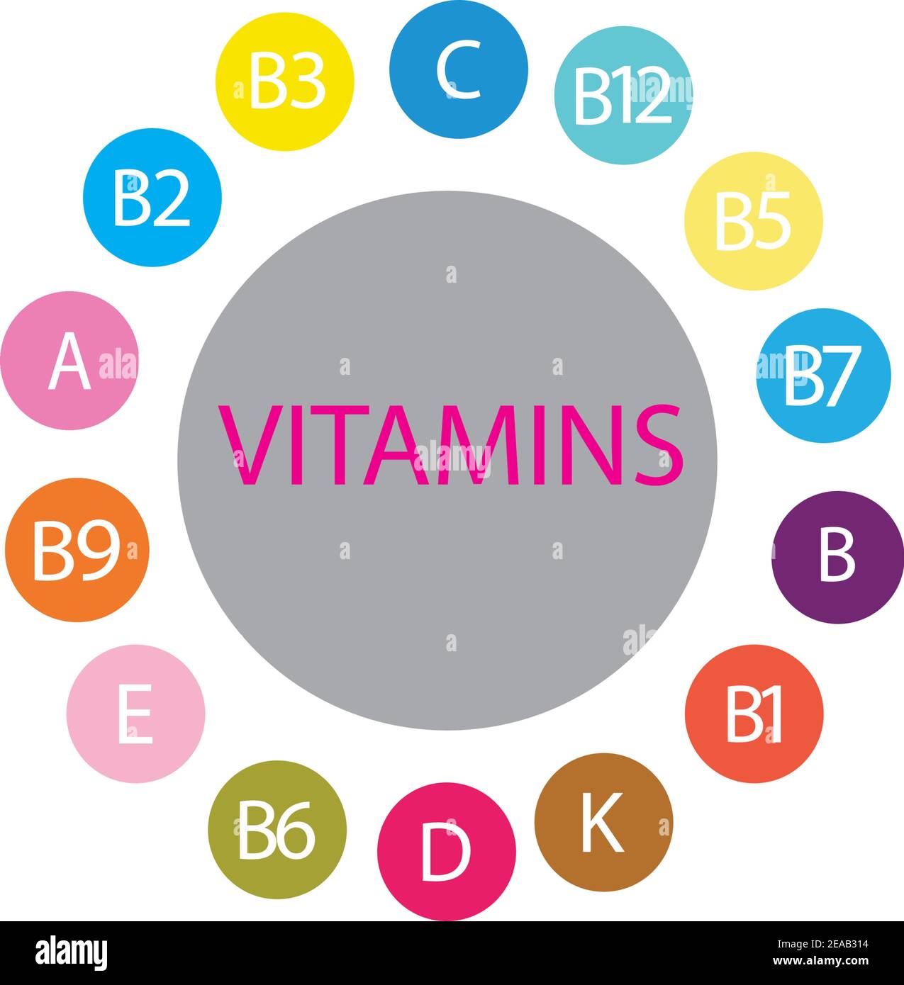 Múltiples iconos de complejo vitamínico. Suplemento multivitamínico,  Vitamina A, B grupo B1, B2, B3, B5, B6,B7, B9, B12, C, D, E, K Ilustración  del vector científico,vecto Imagen Vector de stock - Alamy